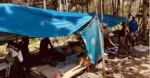 Church seeks end to gold-mine conflict in Papua