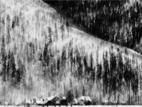 Immersive exhibition invites Hong Kong to rediscover ‘home’ through art and contemplation