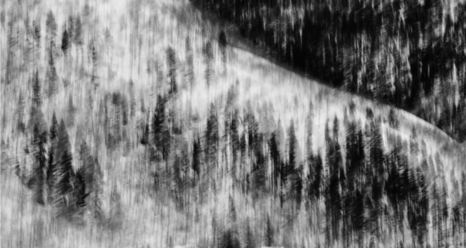 Immersive exhibition invites Hong Kong to rediscover ‘home’ through art and contemplation