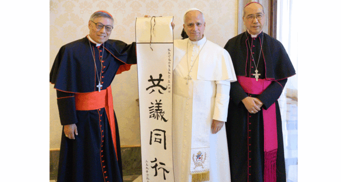 Ad limina visit: bishops share life of the Church in China with pope