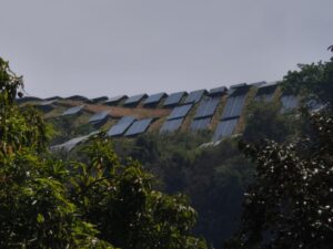 Rows of solar panels on a sloped hillside framed by green trees.
