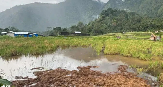Church, activists demand end to land dispute in Indonesia’s Flores Island
