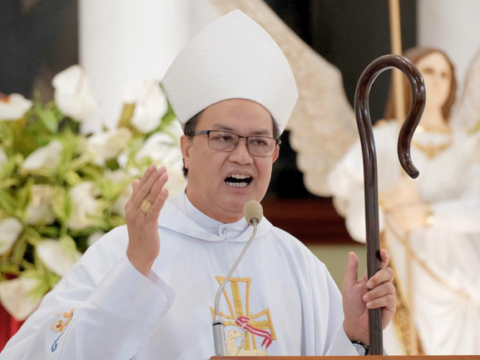 When good people abandon politics, bad politics wins, Cardinal David warns