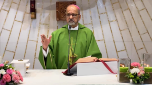 FABC to host online Asian interfaith course on integral ecology