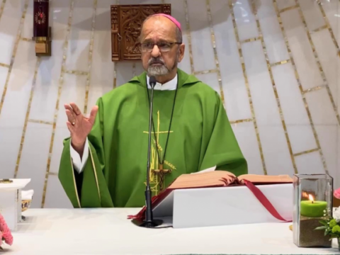 FABC to host online Asian interfaith course on integral ecology