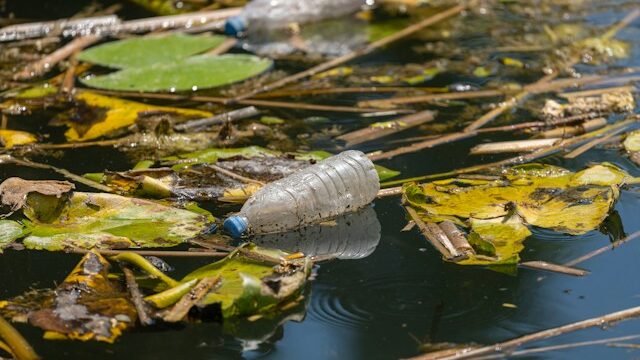 Malaysia’s Catholics turn to ‘Living Water’ for Season of Creation 